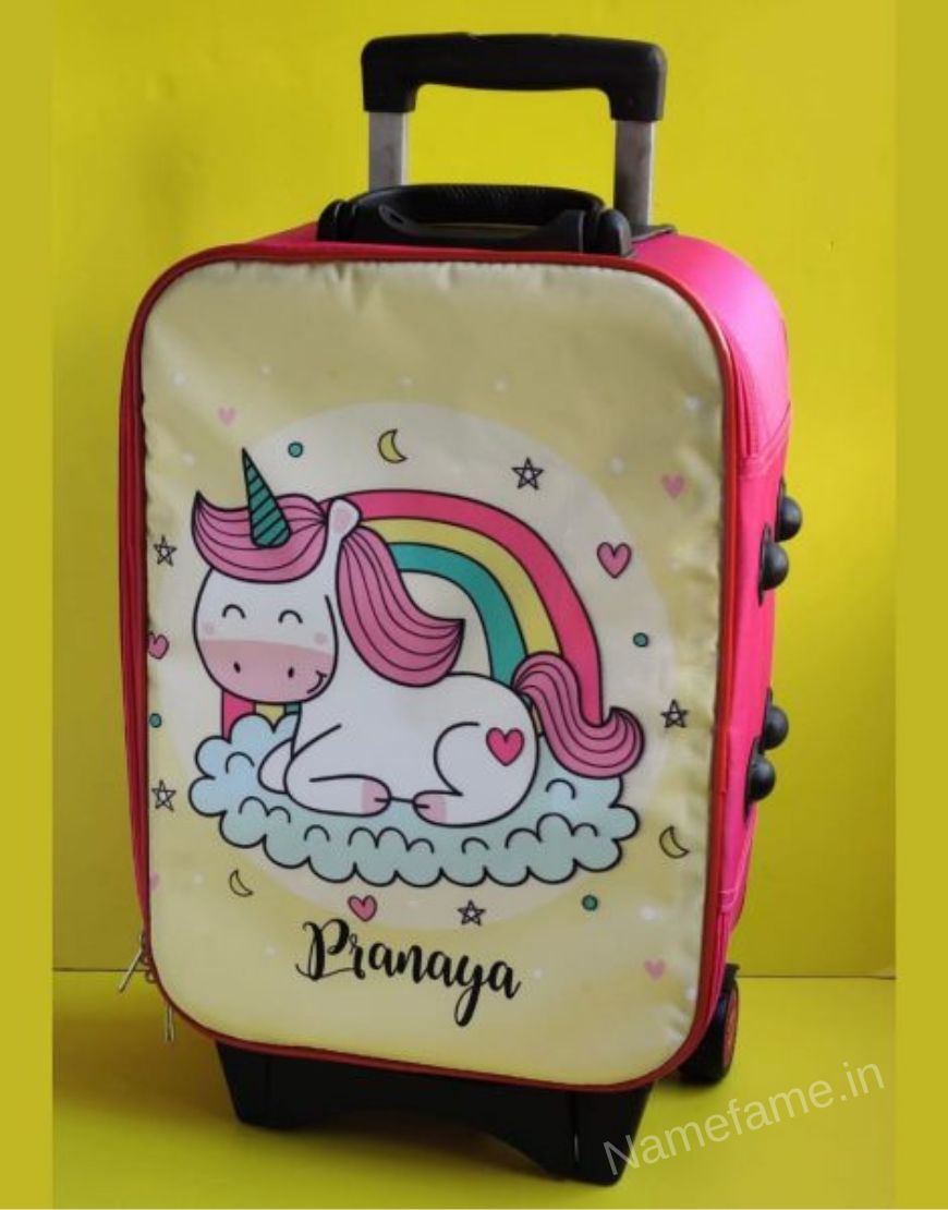 Customized Suitcase